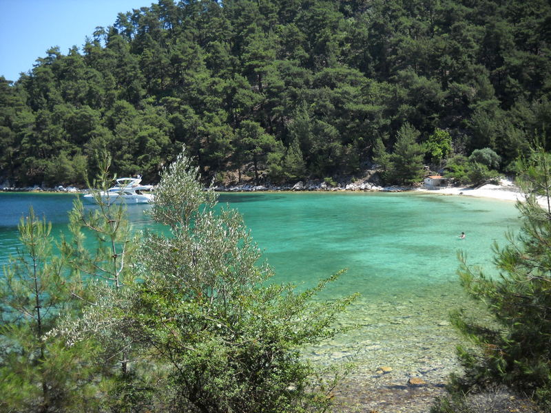 Slika