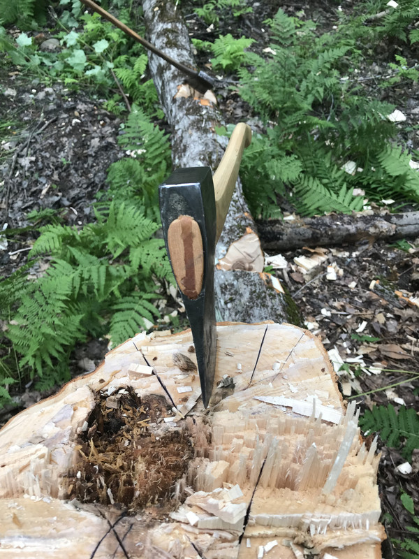 C068C1F6-CFA7-4E96-9B71-5C656E1FE098