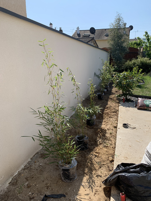 14B3E29E-A267-4E11-BC00-2F23067EB92D