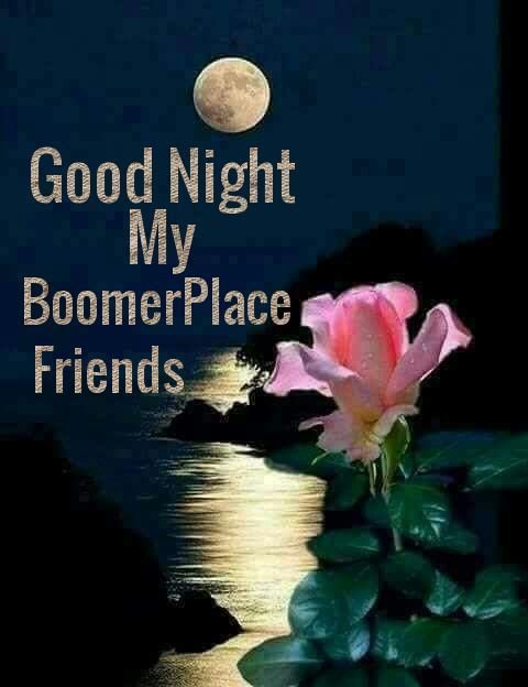 GOOD-NIGHT-MY-BOOMER-FRIENDS