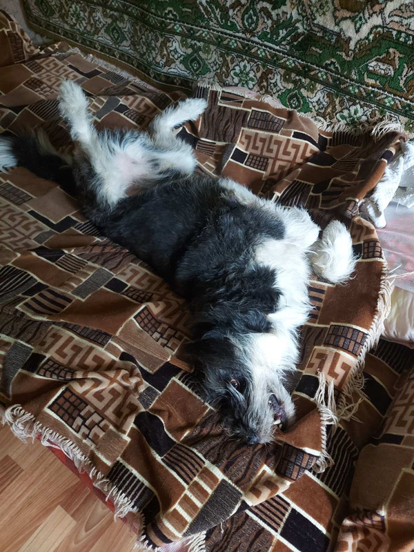 1C0CCCBC-586D-4ECC-A705-FD8176305AA5