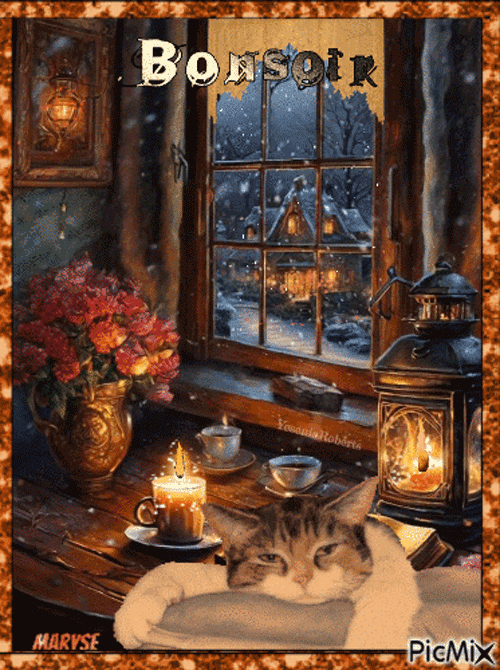 22les-cookers-de-marysz