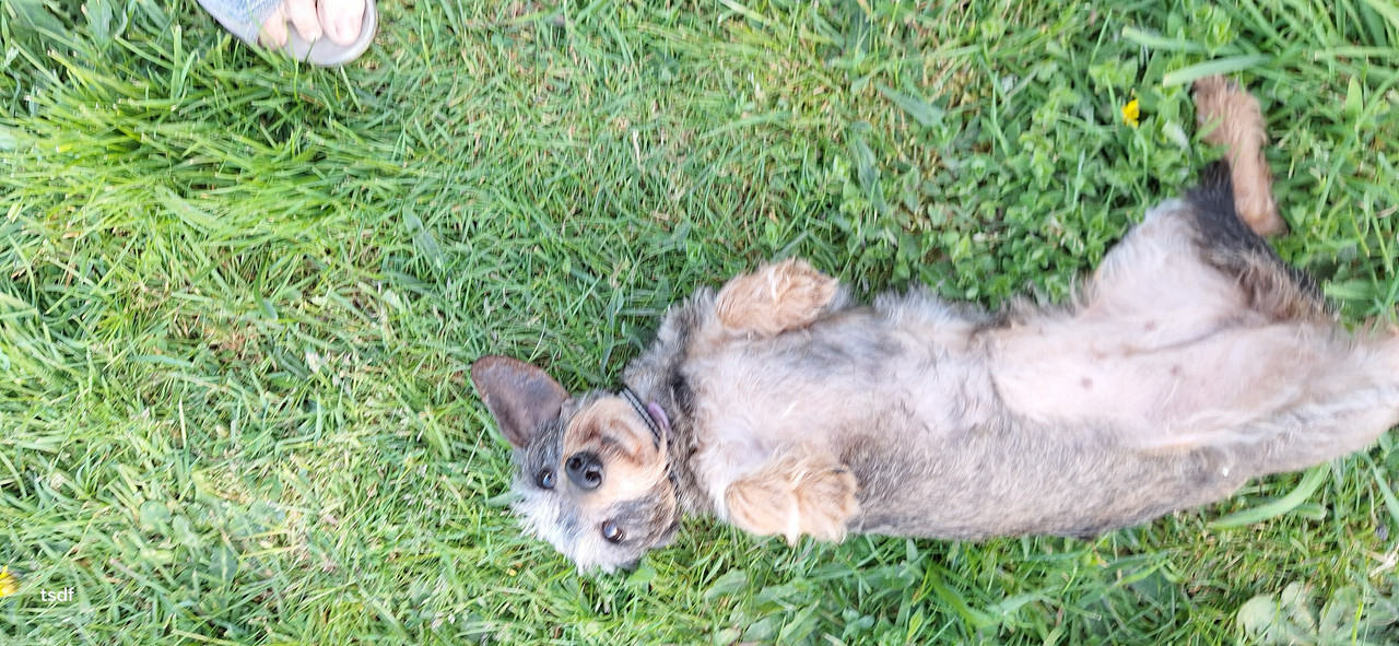 [Image: 20250411-185114.jpg]