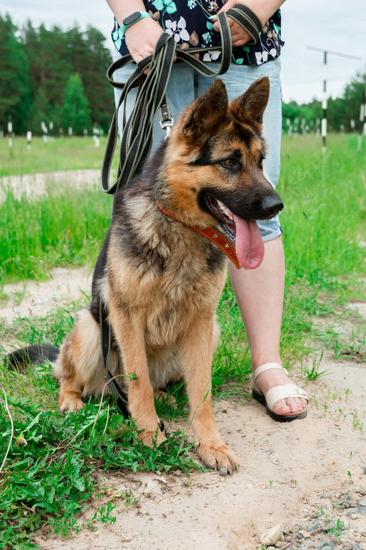 IMG-22bee188d6b960f9c51a3c08c3e7a4ea-V