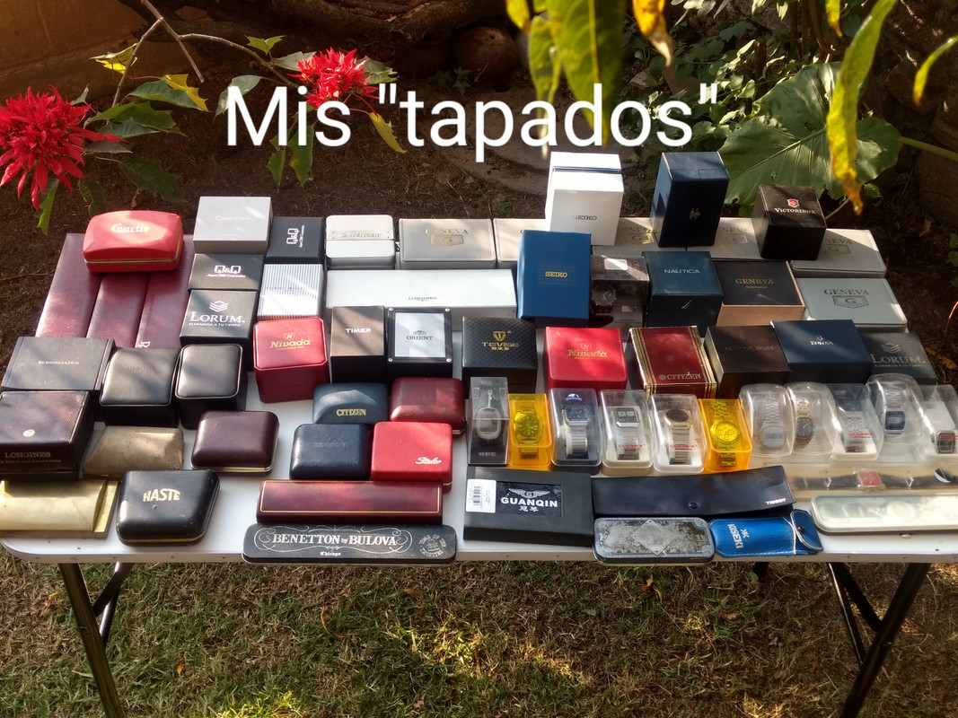 IMG_20191202_160850563_HDR~2