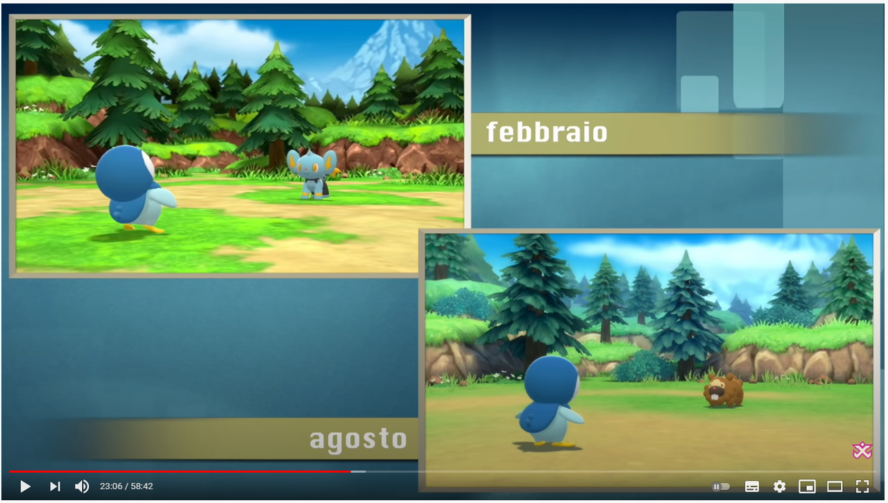 dp.png