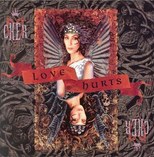 Cher - Love Hurts (1991) .mp3 - 320 kbps