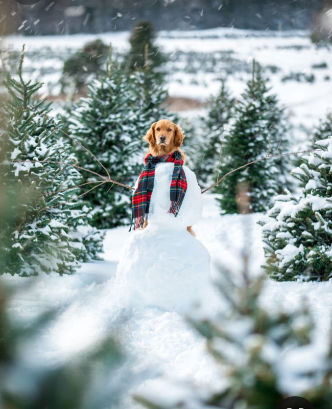 Screenshot_20231210_232233_Pinterest