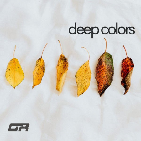 Various Artists   Novembre Deep Colors (2021)