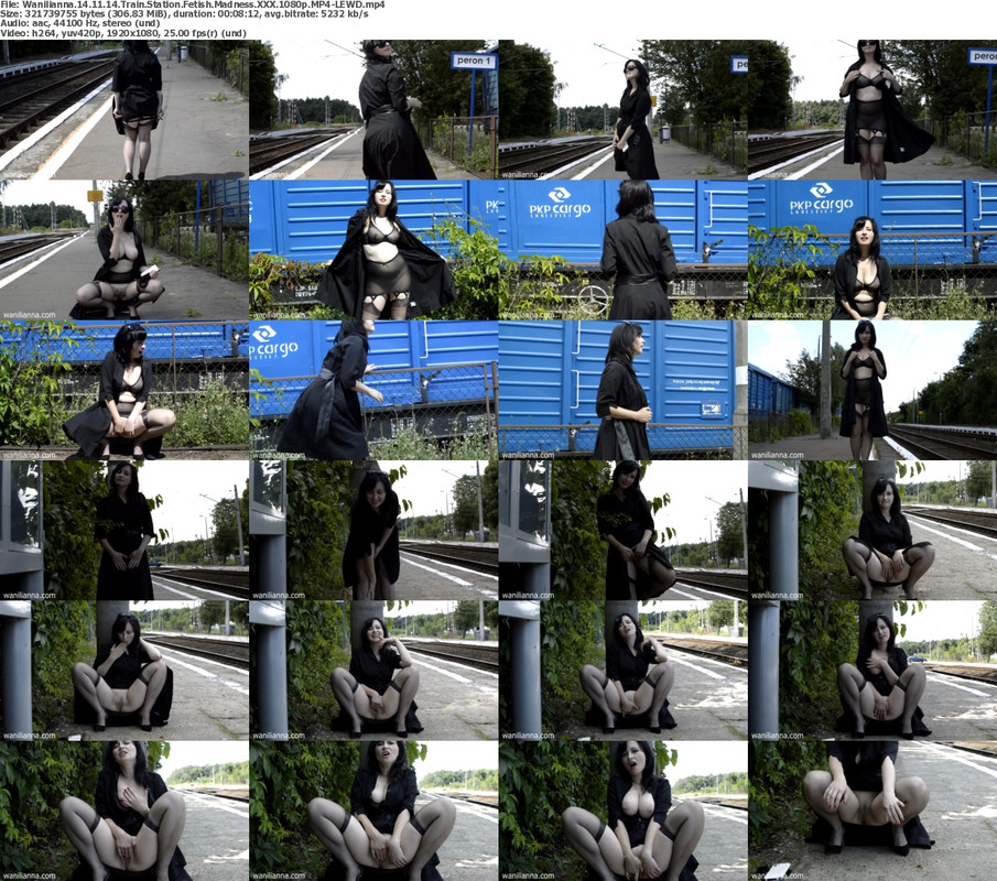 08102024201157screenshot