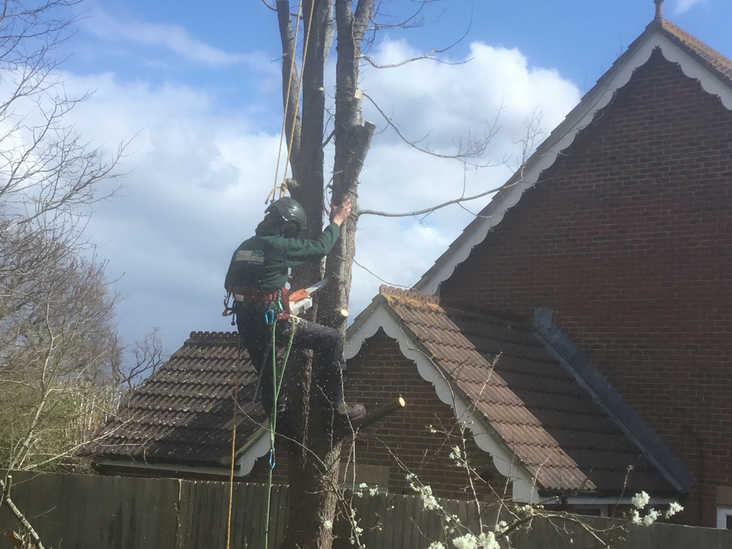 EAEDA294-327C-4F25-B96A-8A28CF818392