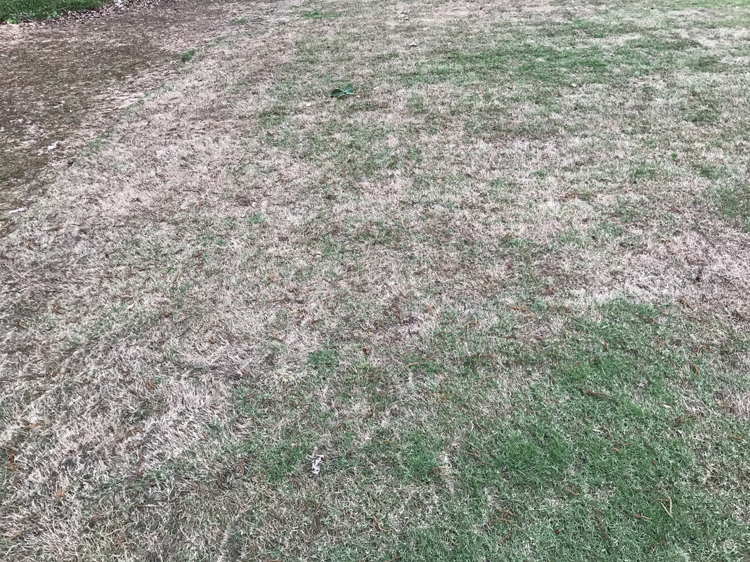 44A217FA-5ED2-4DC1-8E56-03A6BBEC79B6