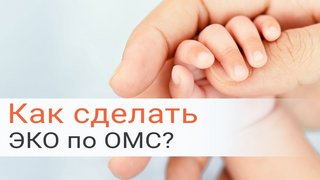 Что такое ЭКО, базовая программа ЭКО по ОМС Maxresdefault