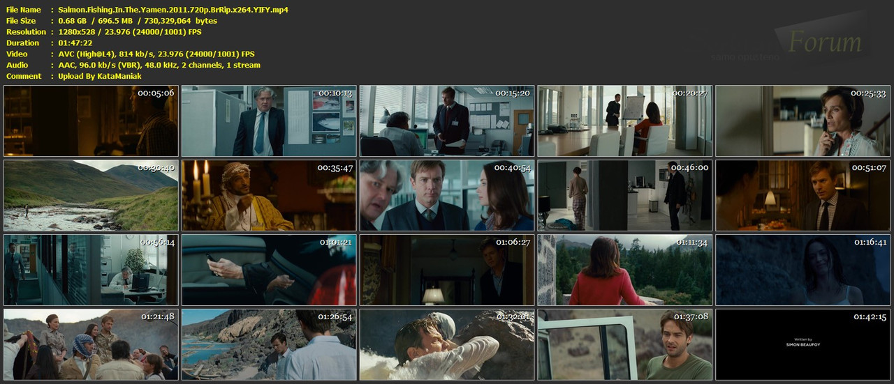 Salmon-Fishing-In-The-Yamen-2011-720p-Br-Rip-x264-YIFY-mp4.jpg