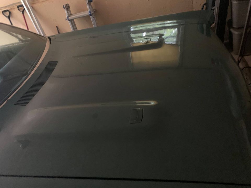 242091389_4271750949528991_2727527073378096117_n