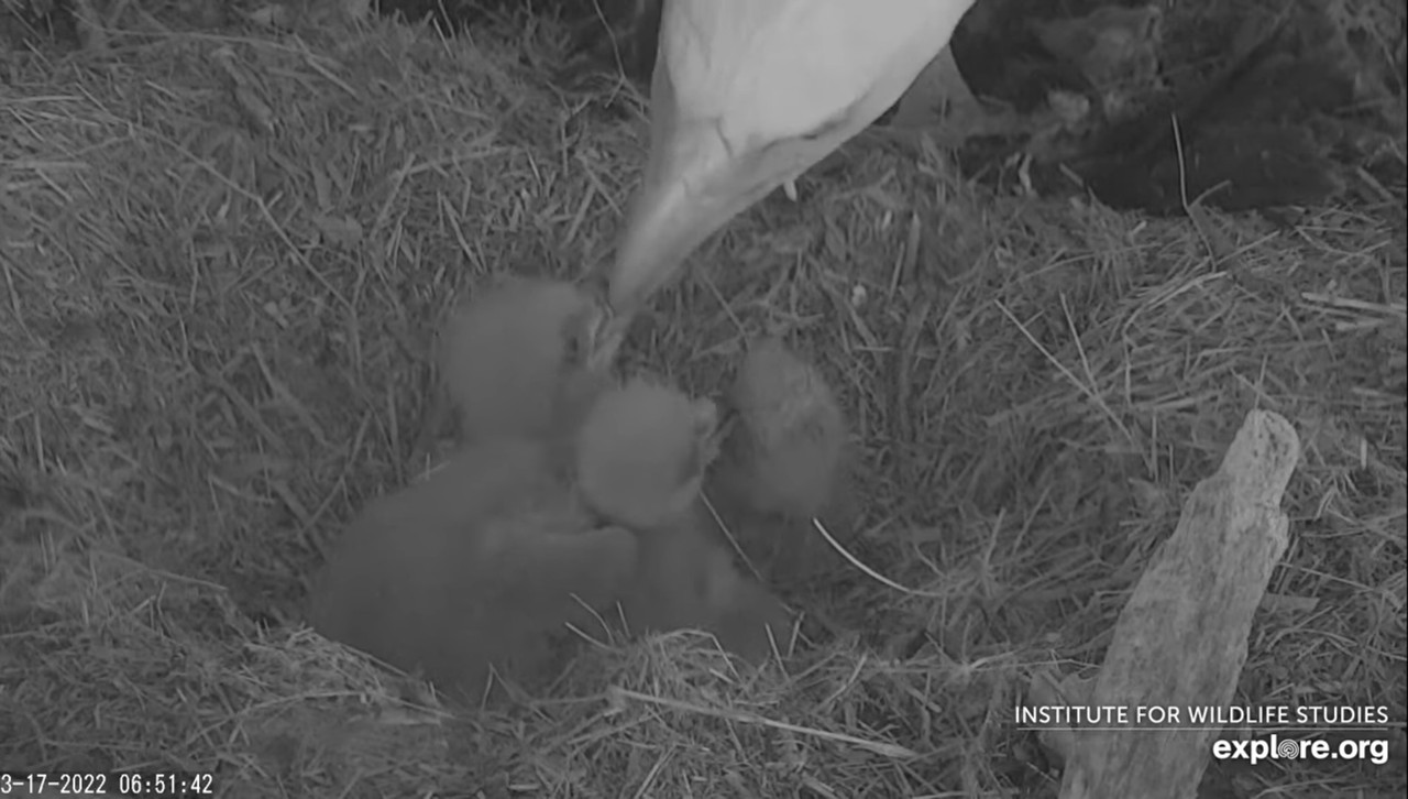 F7C2BF7E-0832-4AB8-9EAD-F6D2B7A6AD7E