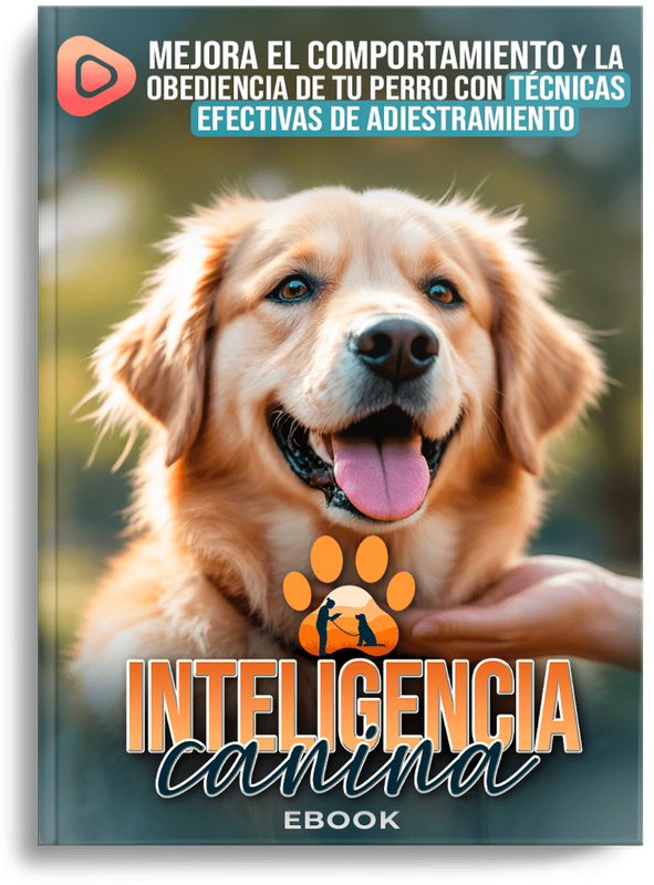 Perro obediente