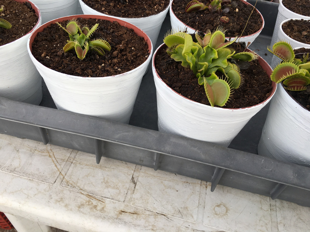 CD2DC881-0780-4B2B-8A34-B11D32EB7AF4