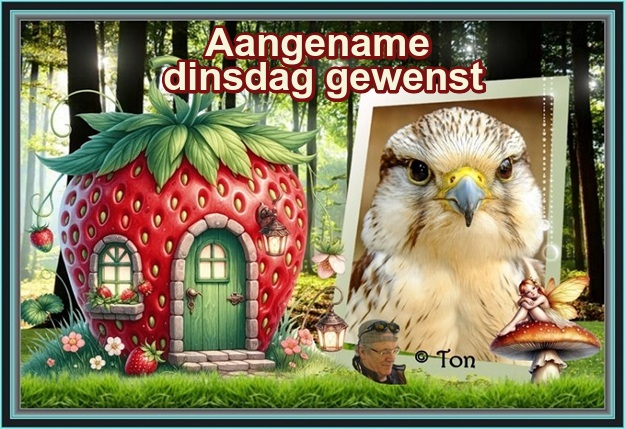 www.krabbelplaatjes.com