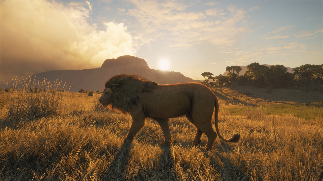 theHunterCotW_F lion 4 by ronMctube