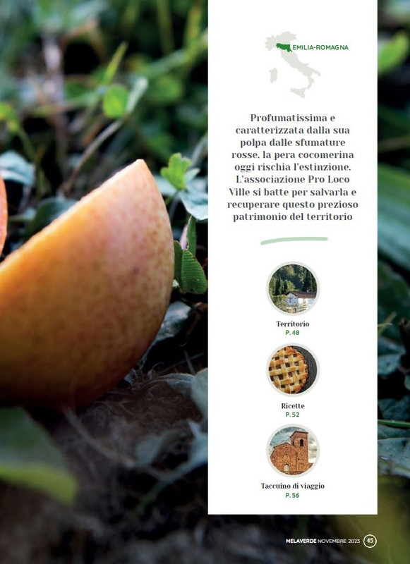 melaverde Nov 2023 (4)