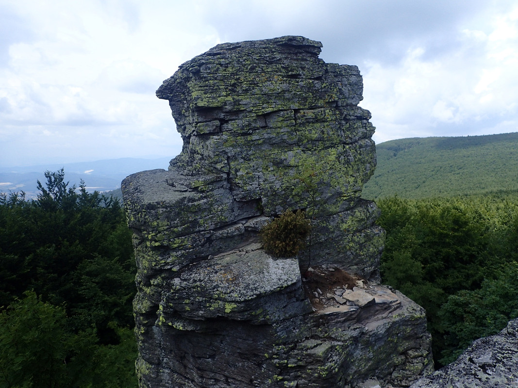2019_0714VTACNIK_TG0116