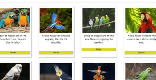 Web desining html and css from scratch Web desining html and css from scratch
