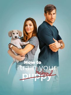 Un Marito Da Addestrare (2018) WebDL 1080p AC3 ITA