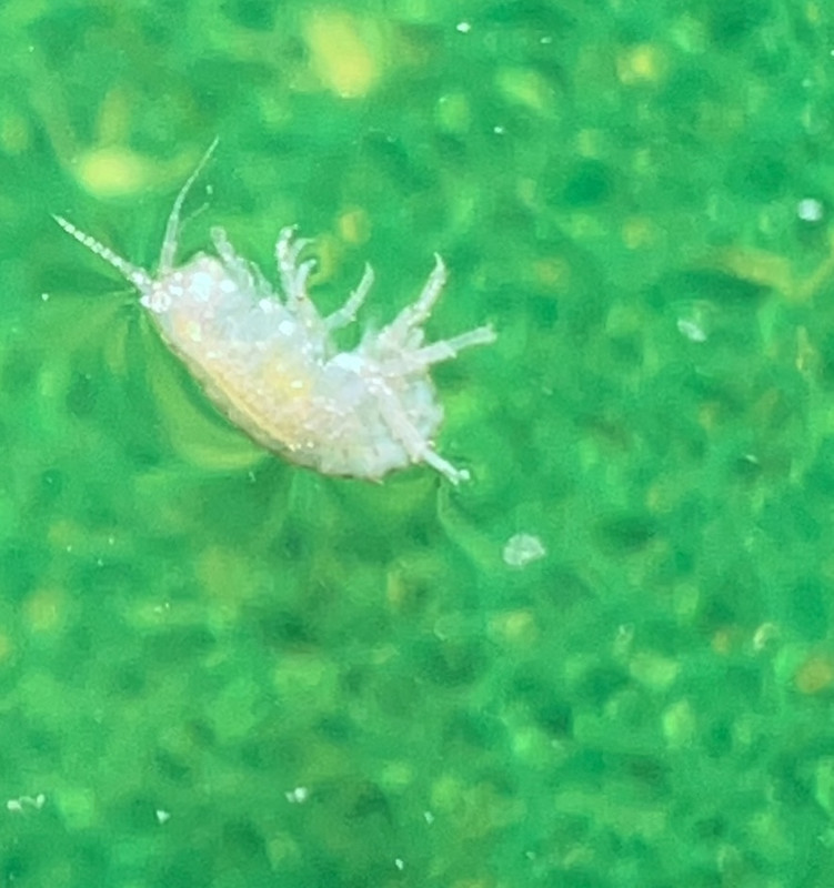 DF5C5C58-D479-4787-A910-927010B9E68E