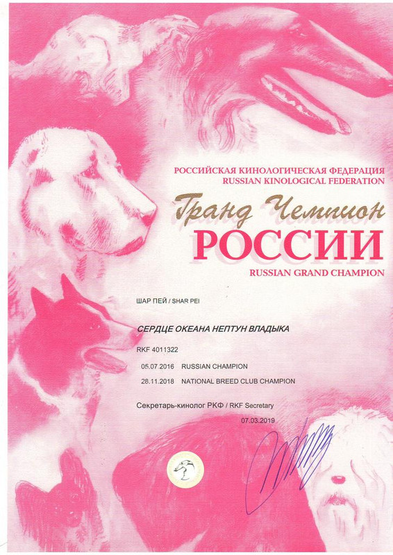 С.О. Нептун Владыка ГЧ