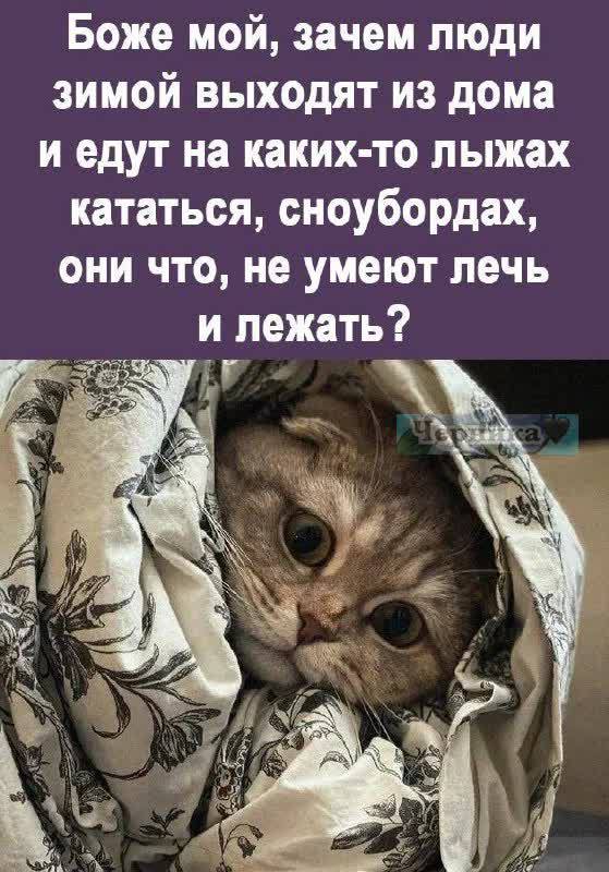 03EFBC4D-3E75-4B62-892C-65B099EFB7AF