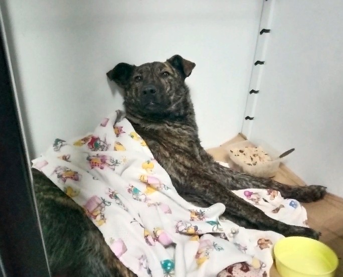 Скриншот 28-12-2021 15_32_39