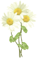 k4.gif