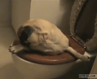 472768466bc7b559c30a0a204fa789cc.gif