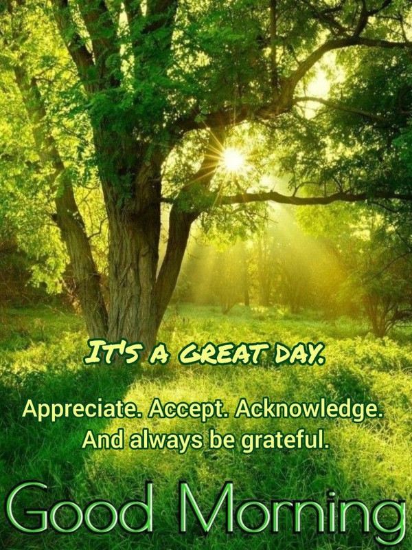 download - 2025-10-11T071537.846