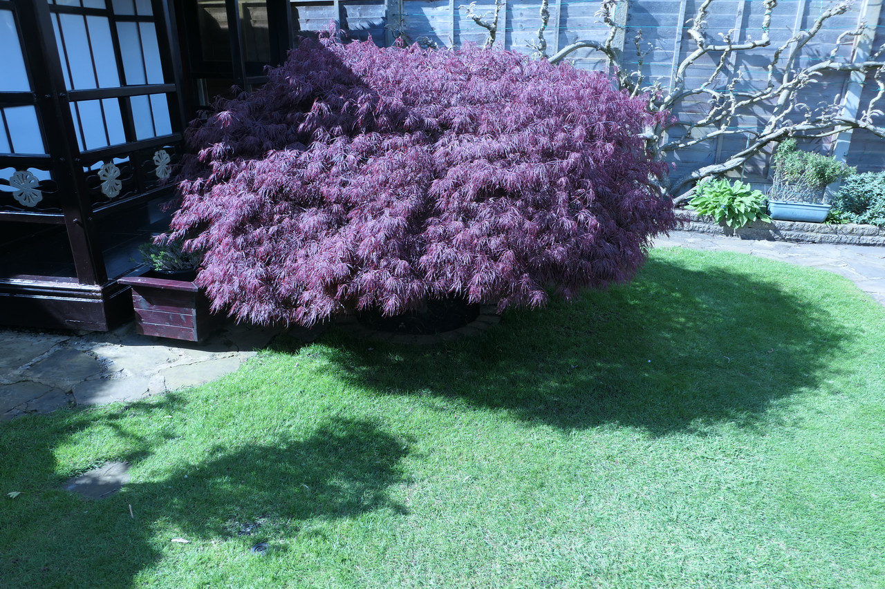 P1040352