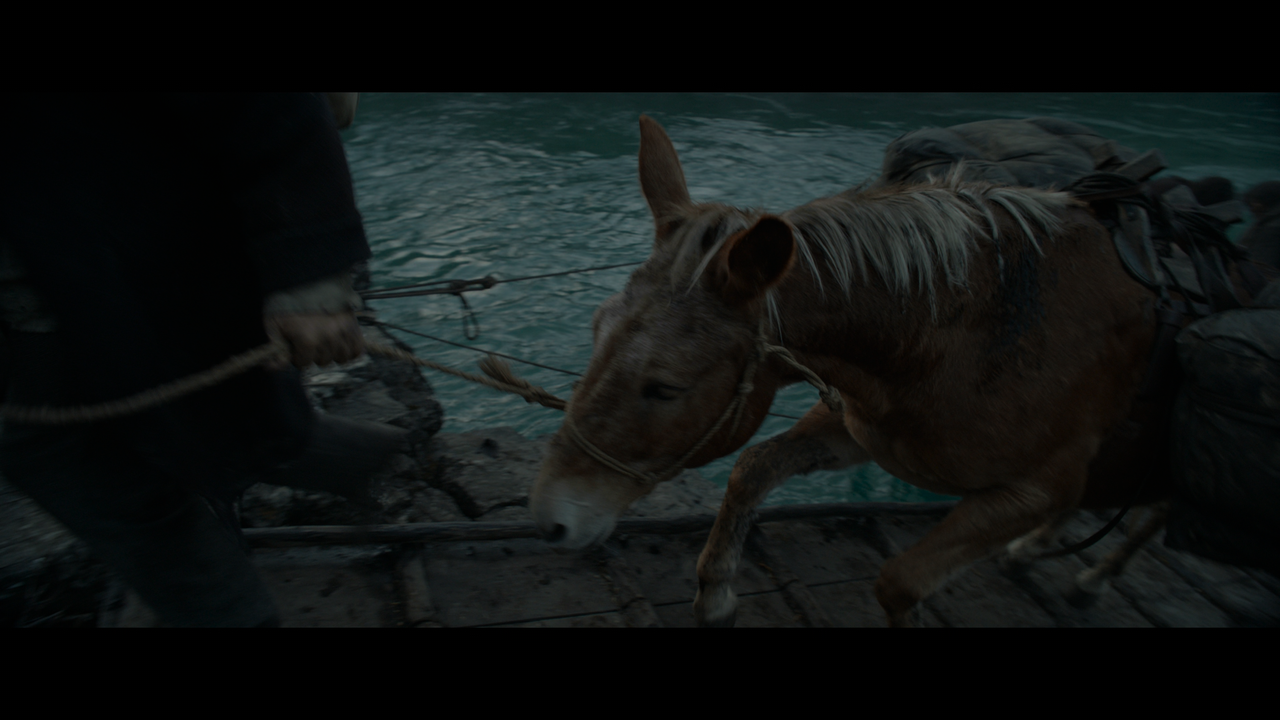 The.Revenant.2015.2160p.UHD.BDRemux.TrueHD.Atmos.HDR.DoVi.Hybrid.P8.by.DVT.mkv_snapshot_00.14.52_[20