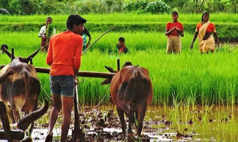 A Farmers Record, All in One Place
