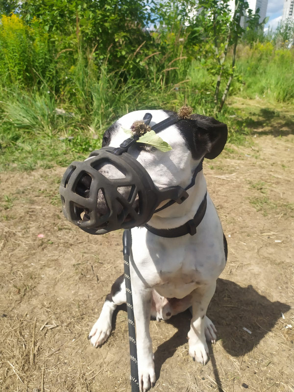 6410FFEF-974F-4B2D-917F-340C6D1E85B7