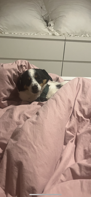 164DB5DB-985C-4AE7-B103-1C400374F7E4