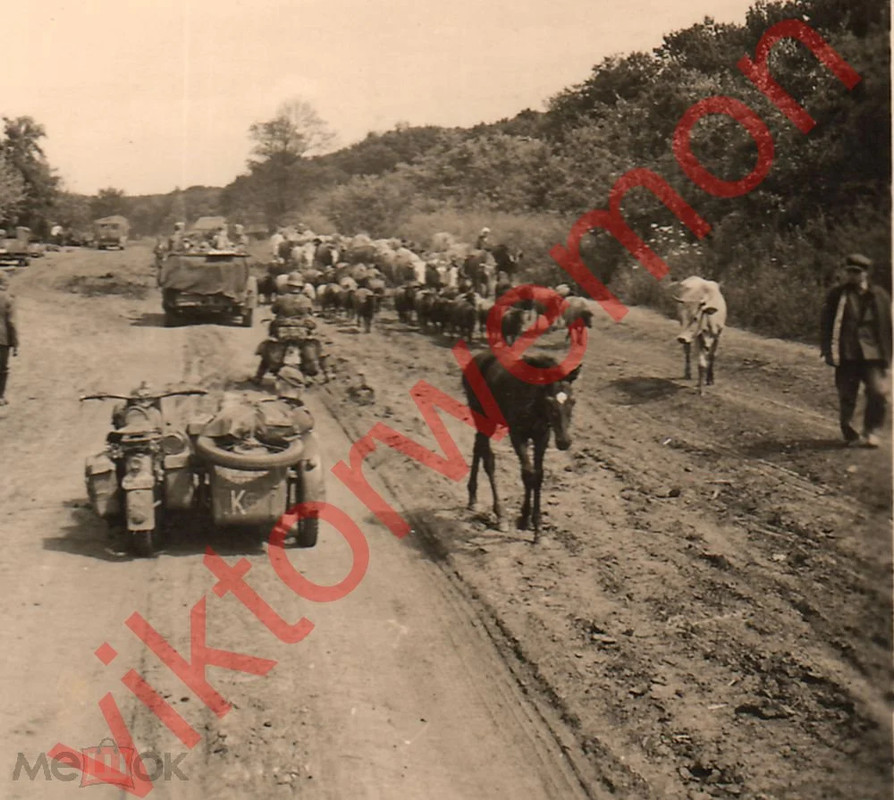 Немецкая колона на марше