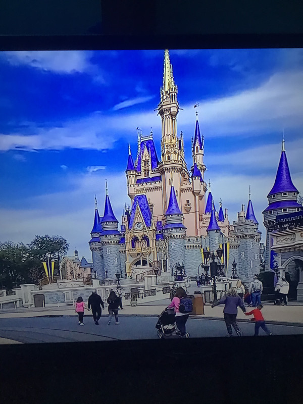 E3F3945C-D1BD-49CE-A15D-B67A908DEC41