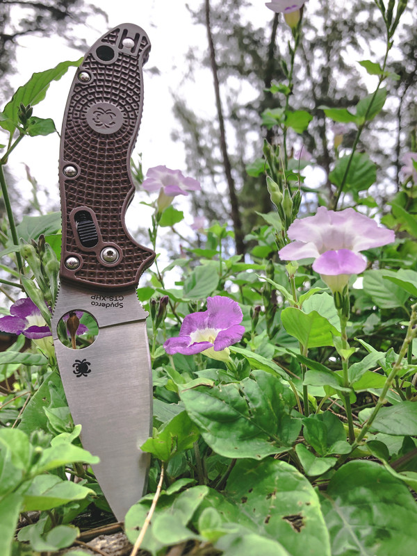 EB288FC9-6F15-4661-AA1E-63DE48781B5F