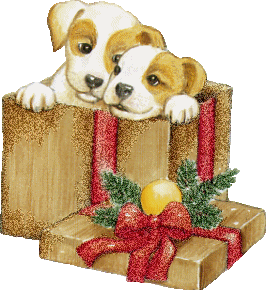Christmas-2-Dogs-Present