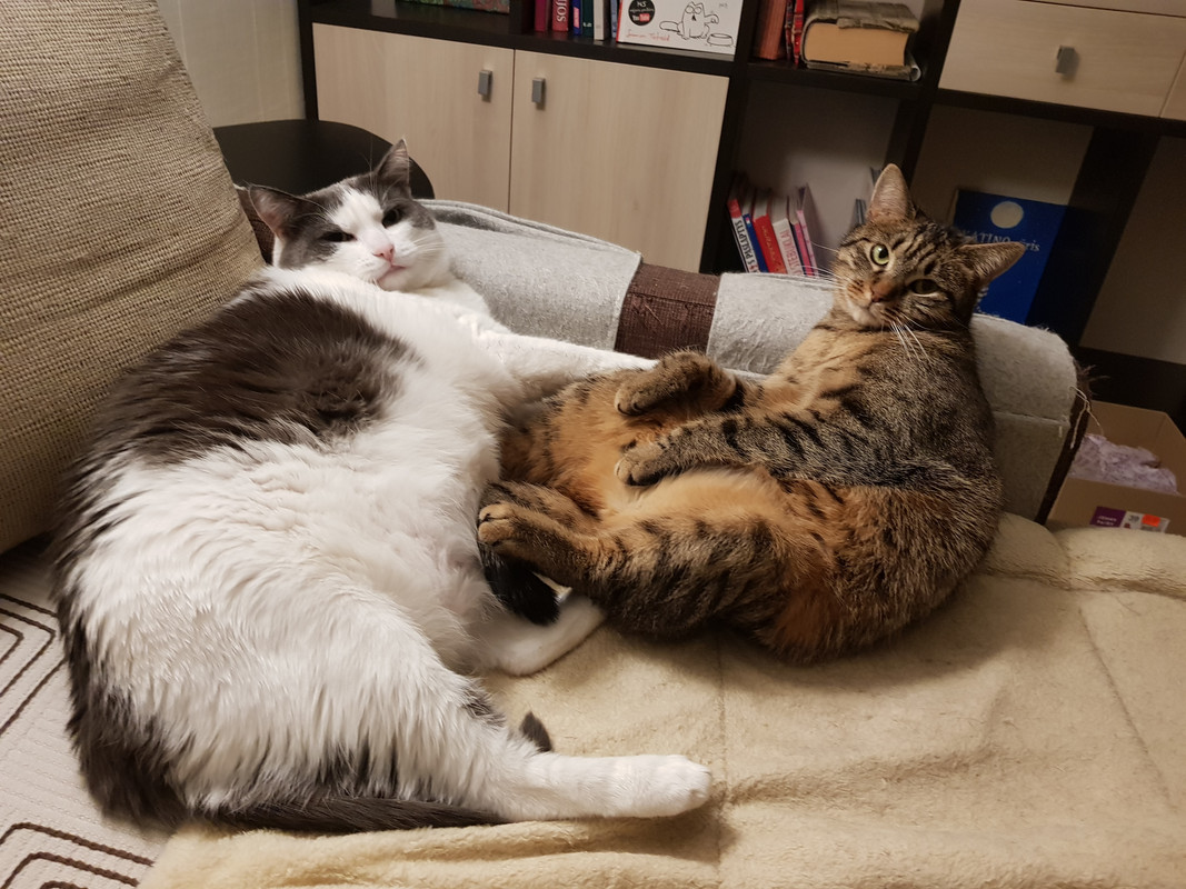 20191229-185116.jpg