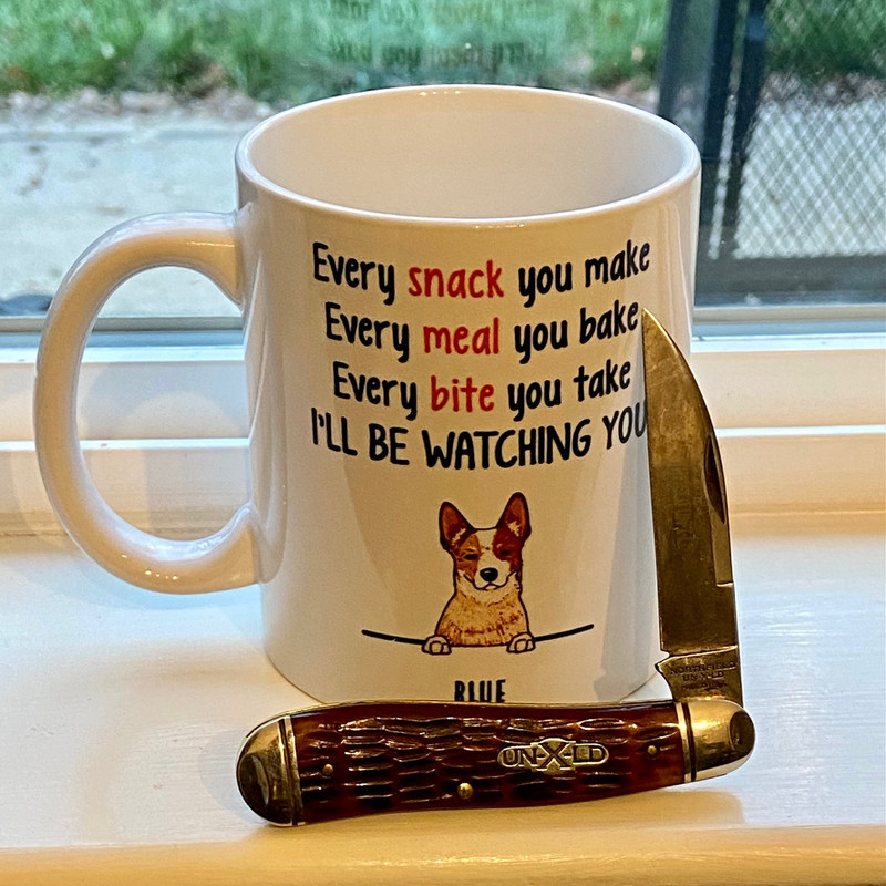 BCC58555-7F5D-4170-A70A-828C880F220B