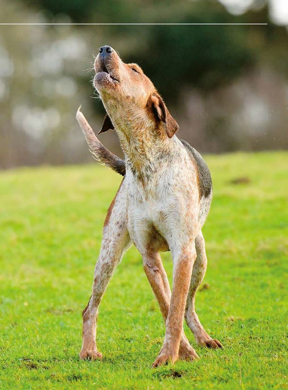 Il M C Dic 2023-Gen 2024 (12)