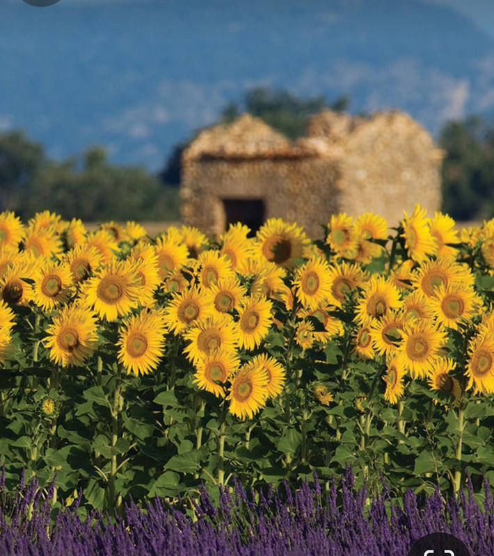 Screenshot_20240305_223631_Pinterest