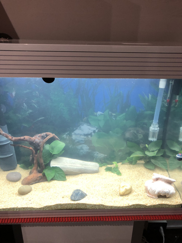 5AC30A2E-6104-433F-A848-67573821F9F8