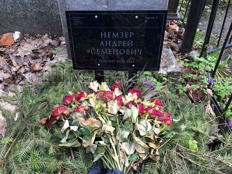nemzer